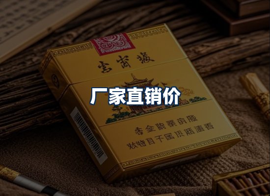 专业团队办公环境